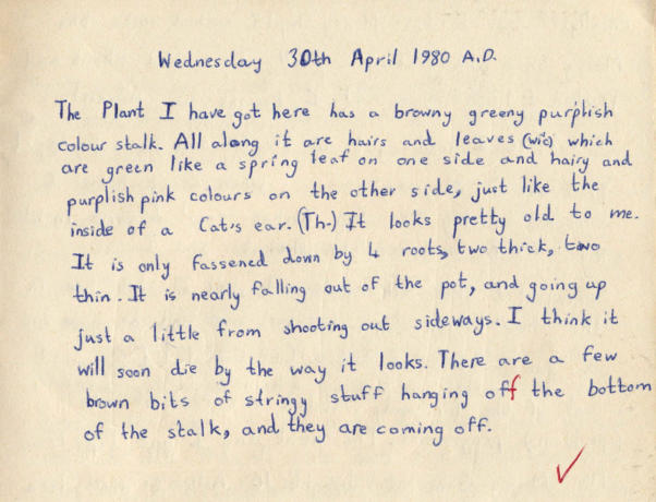 Plant Description
