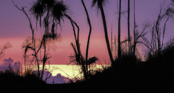 English 1, defaced in pencil